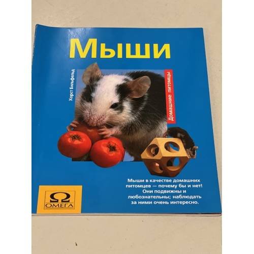 Мыши
