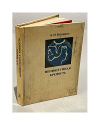 Неприступная крепость