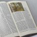 Дополнительное изображение книги «...Все краски мира, кроме желтой»