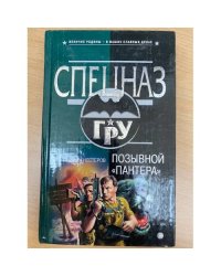 Позывной «Пантера»