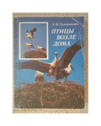 Птицы возле дома
