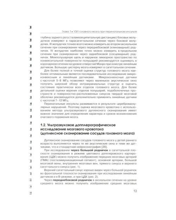 Дополнительное изображение книги «Ультразвуковая диагностика перинатального инсульта Учебное пособие»