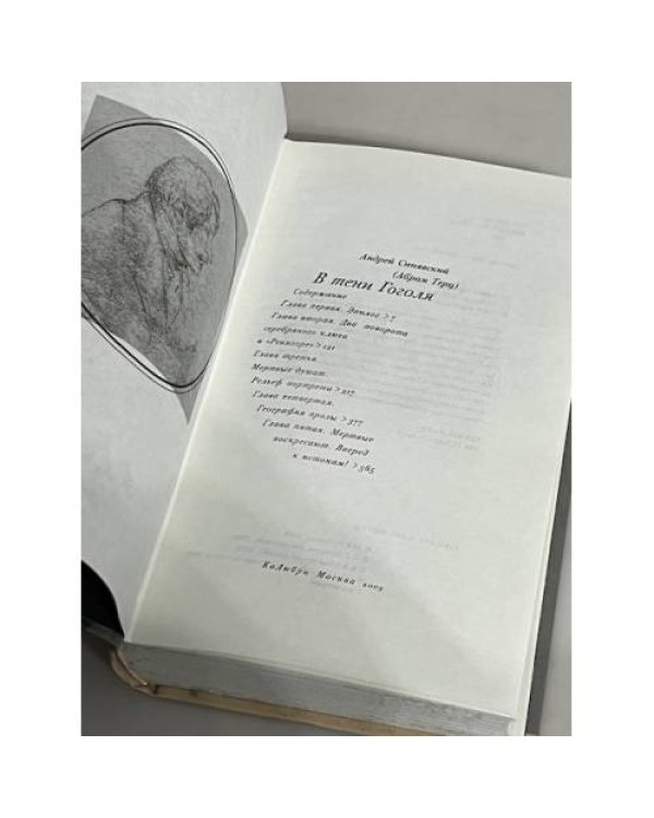 Дополнительное изображение книги «В тени Гоголя»