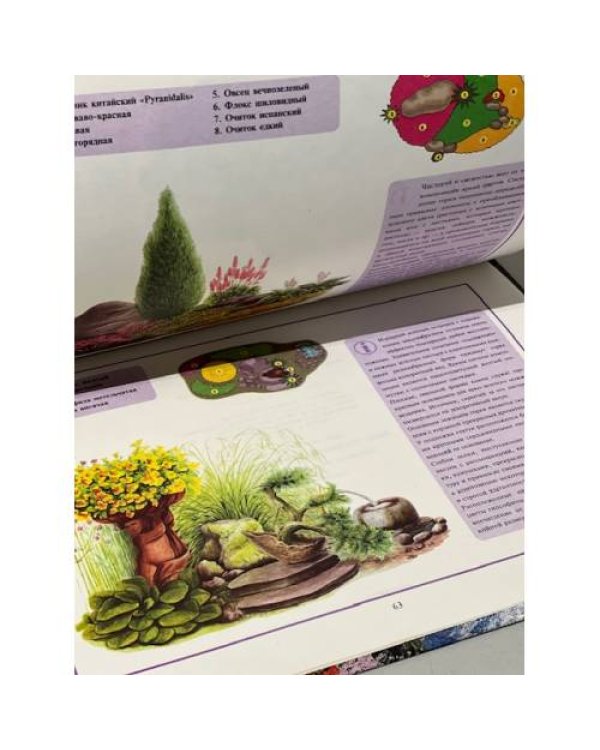 30 великолепных альпийских горок
