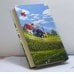 Дополнительное изображение книги «Жизнь и необычайные приключения солдата Ивана Чонкина. Книга III. Перемещенное лицо»