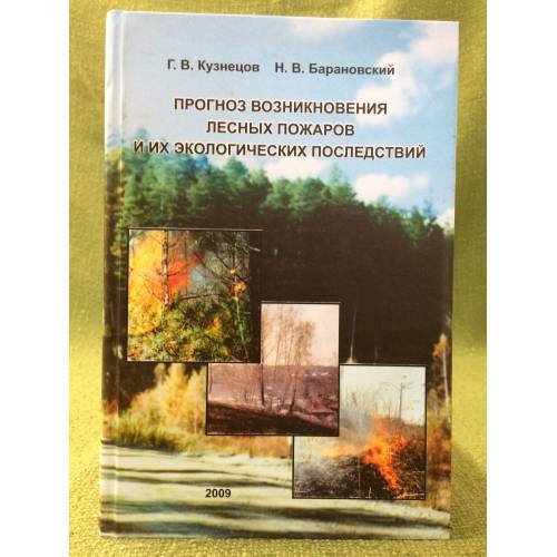 Прогноз возникновения лесных пожаров и их экологических последний