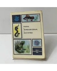 Рыбы, земноводные, паузуны