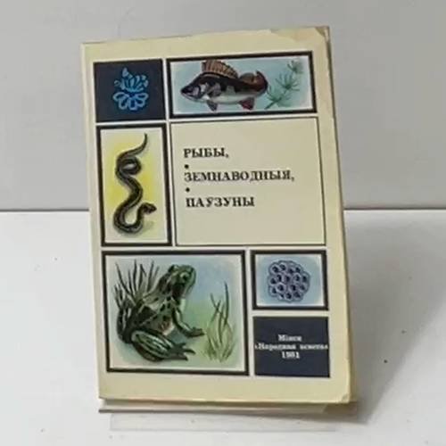Рыбы, земноводные, паузуны