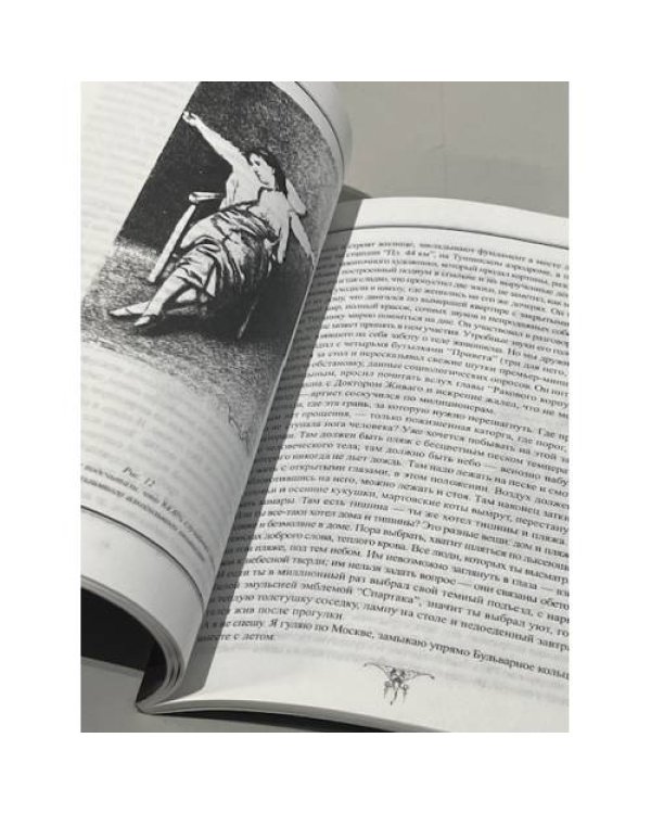 Дополнительное изображение книги «Илллюстрированная пахмельная книга»