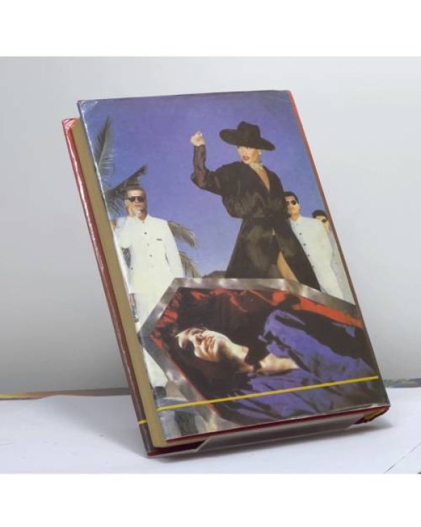 Дополнительное изображение книги «Крик волка»