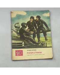 Побратимы