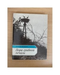 Пора грибной печали