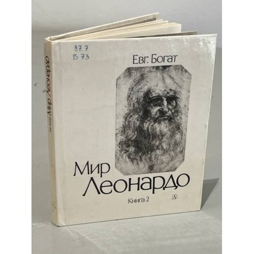 Мир Леонардо. Философский очерк в 2-х книгах. Книга 2