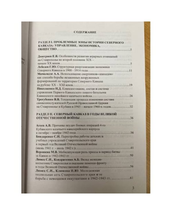 Проблемные зоны истории: Исследовательские практики