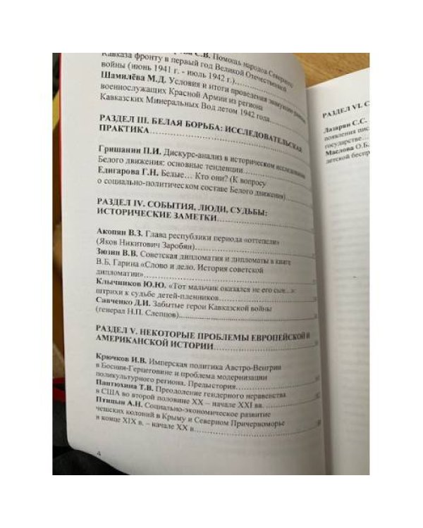 Проблемные зоны истории: Исследовательские практики