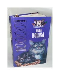 10000 советов. Ваша кошка