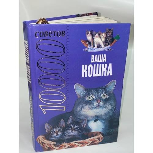 10000 советов. Ваша кошка