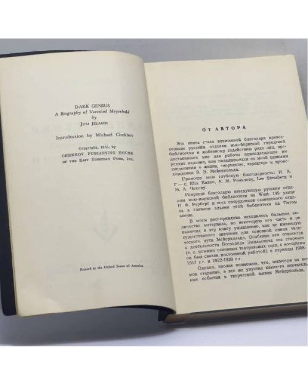 Дополнительное изображение книги «Темный гений (Всеволод Мейерхольд)»