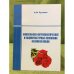 Философско-антропологические и социокультурные основания феномена любви