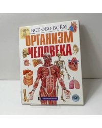 Организм человека