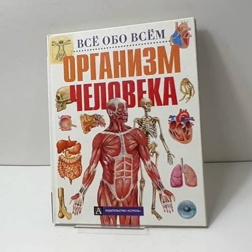 Организм человека