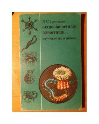 Беспозвоночные животные, изучение их в школе. Простейшие. Кишечнополостные. Черви. Моллюски