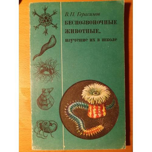 Беспозвоночные животные, изучение их в школе. Простейшие. Кишечнополостные. Черви. Моллюски