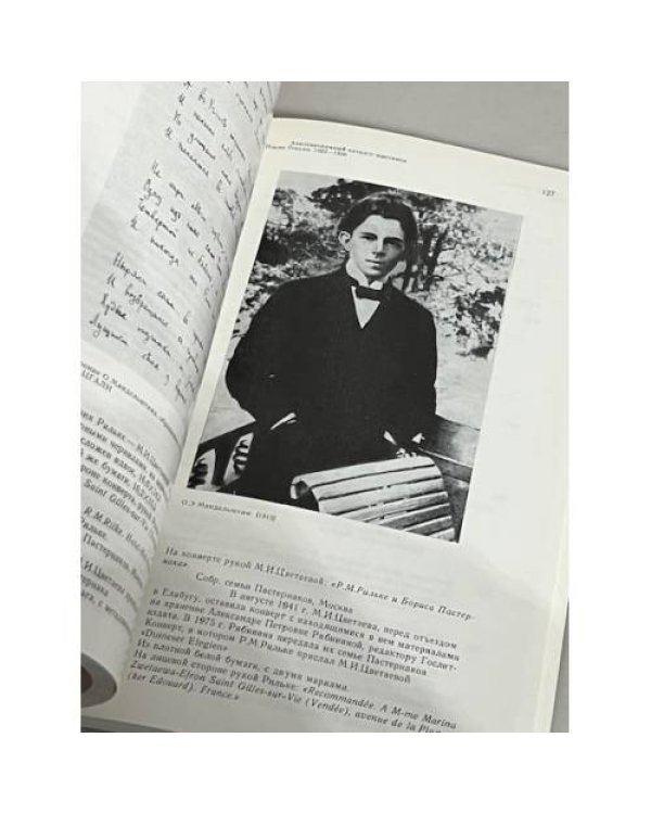 Марина Цветаева. Поэт и время