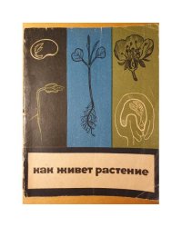 Как живут растения