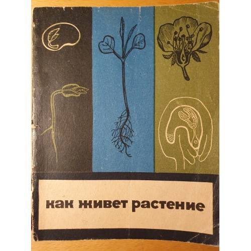 Обложка книги «Как живут растения» — Николай Александрович Максимов