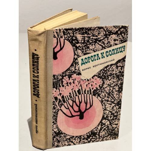 Обложка книги «Дорога к солнцу» — Борис Костюковский