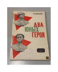 Два юных героя