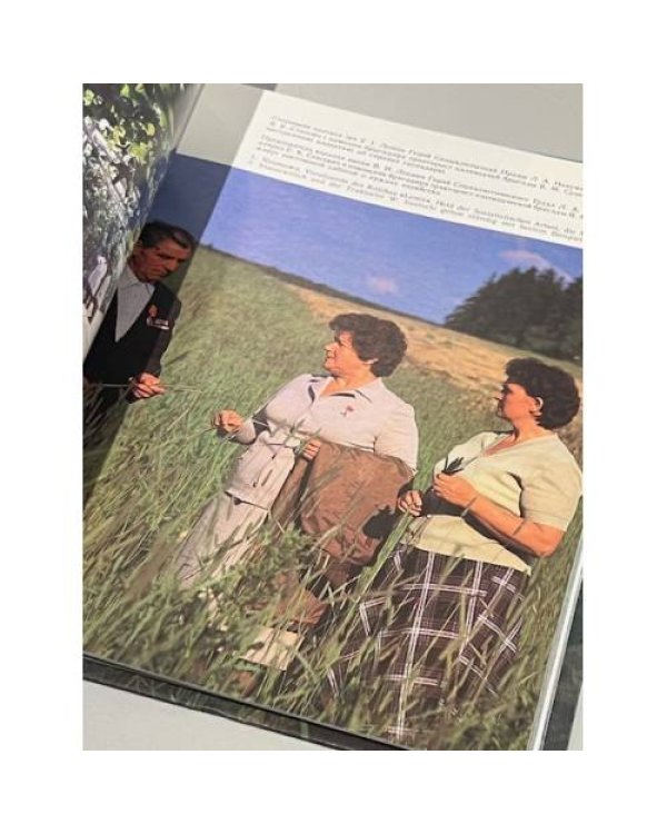 Дополнительное изображение книги «Синеокая витебщина»
