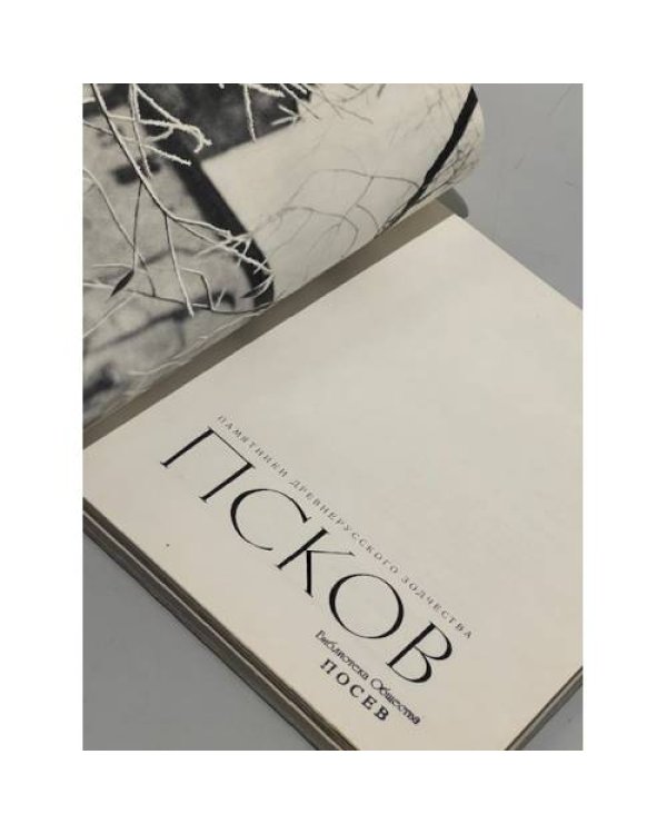 Дополнительное изображение книги «Псков. Памятники древнерусского зодчества»