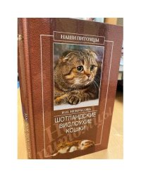 Шотландские вислоухие кошки