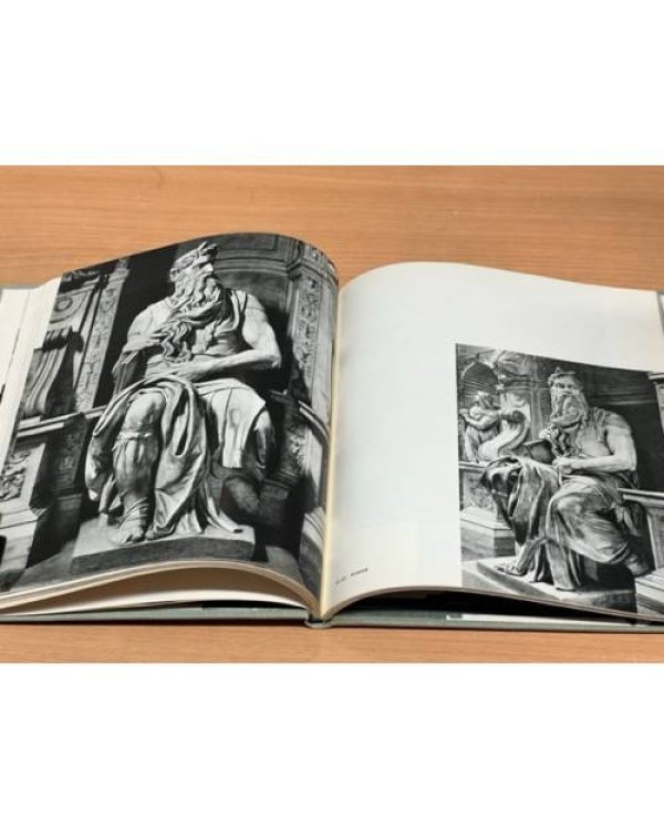 Дополнительное изображение книги «Микеланджело Буонарроти»