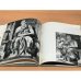 Дополнительное изображение книги «Микеланджело Буонарроти»