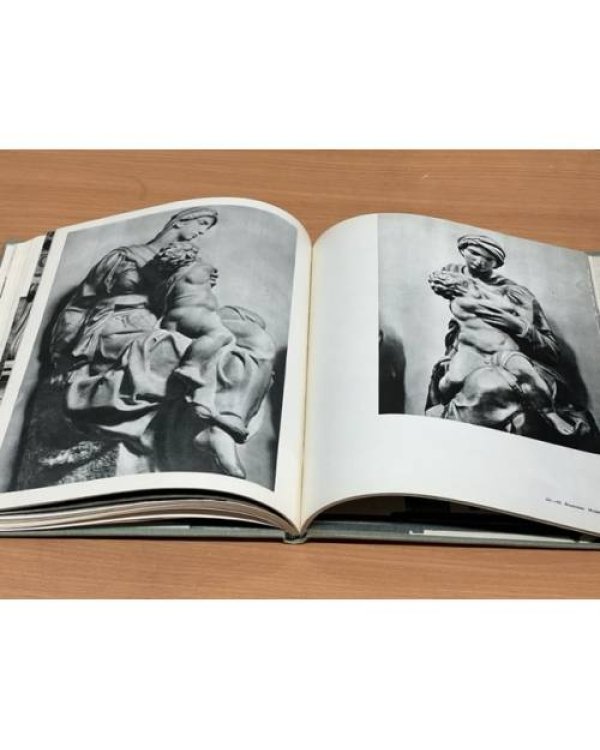 Дополнительное изображение книги «Микеланджело Буонарроти»