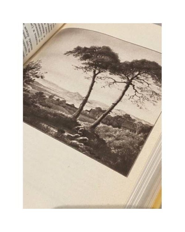 Дополнительное изображение книги «Зеленый Генрих»
