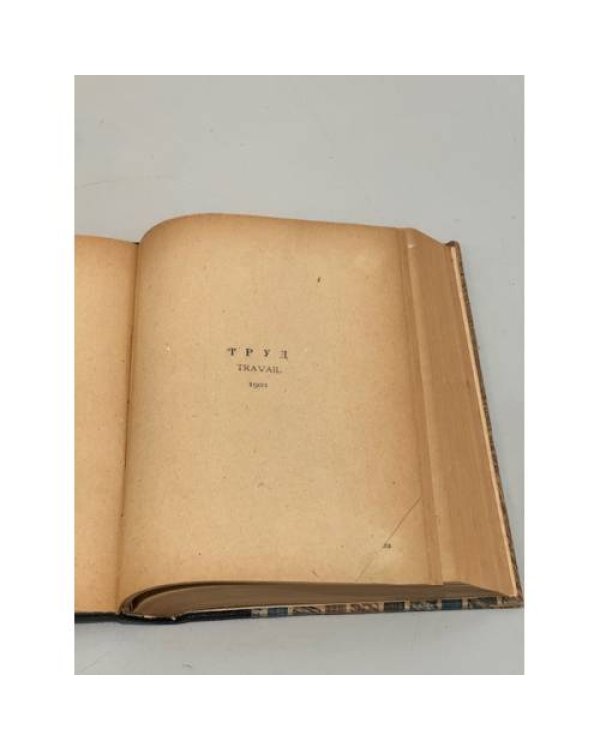 Дополнительное изображение книги «Труд (Travail)»