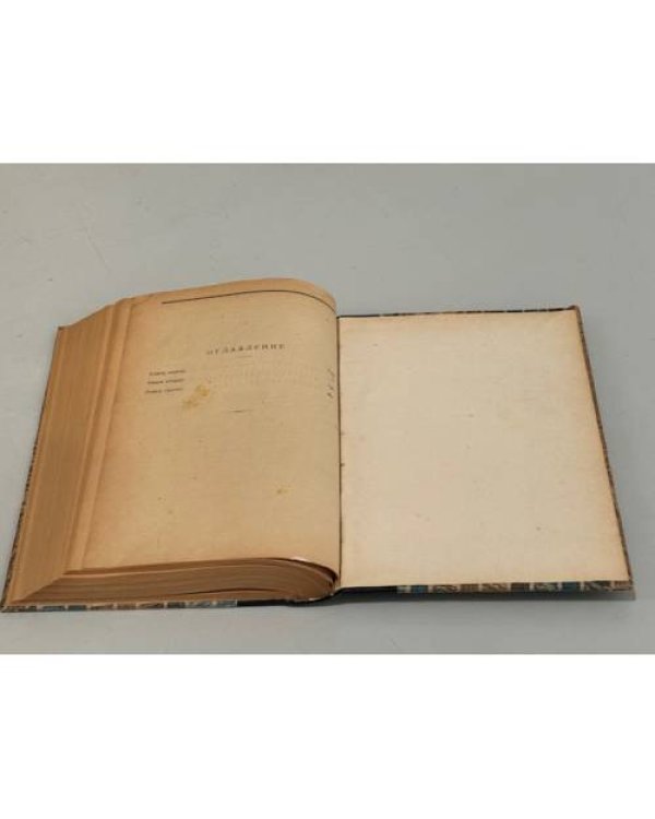 Дополнительное изображение книги «Труд (Travail)»