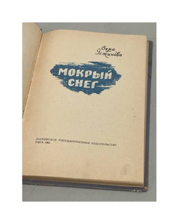 Дополнительное изображение книги «Мокрый снег»