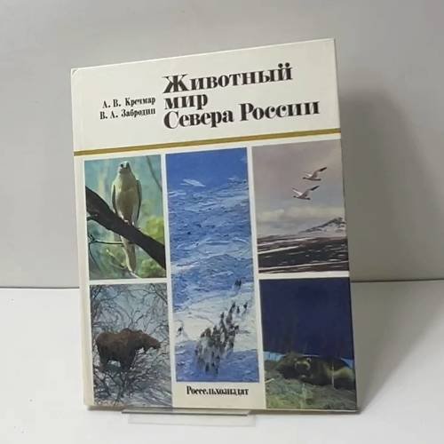 Животный мир Севера России
