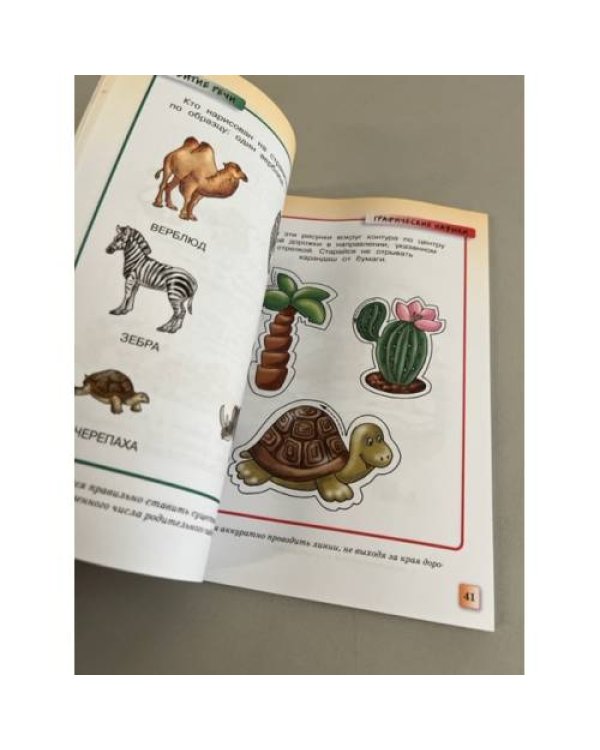 Грамотейка. Интеллектуальное развитие детей 5-6 лет