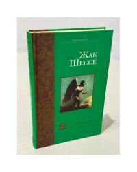 Двойник святого. Желтые глаза