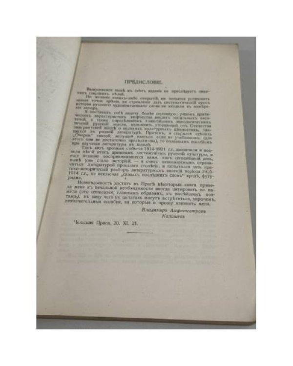 Дополнительное изображение книги «Очерки истории русской литературы»