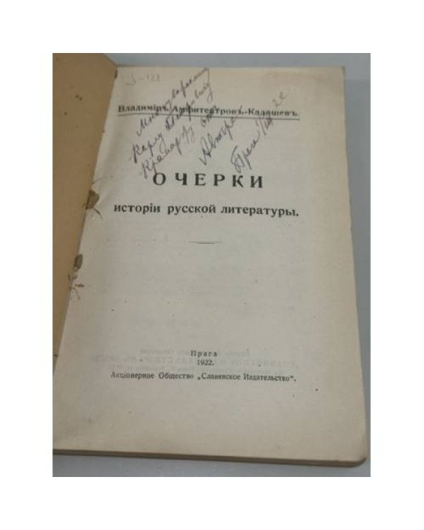 Дополнительное изображение книги «Очерки истории русской литературы»
