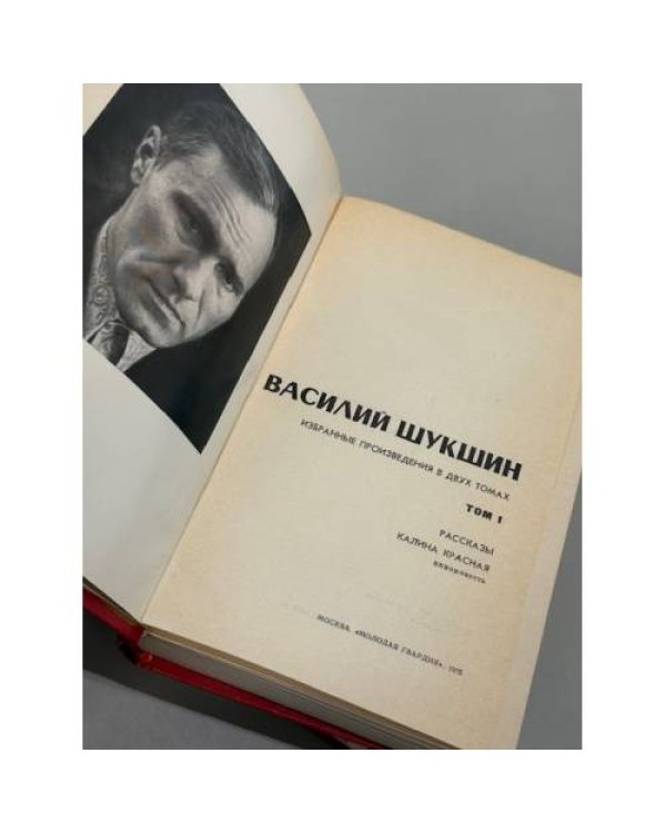 Василий Шукшин. Избранные произведения в 2 томах
