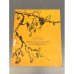 Дополнительное изображение книги «Весне навстречу»