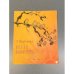 Обложка книги «Весне навстречу» — Георгий Алексеевич Скребицкий